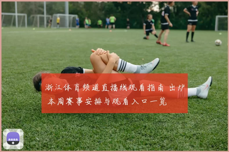 浙江体育频道直播线观看指南 出炉 本周赛事安排与观看入口一览